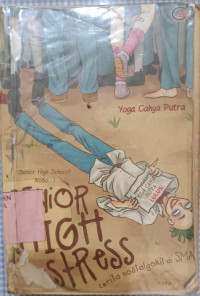 Image of Senior High Stress